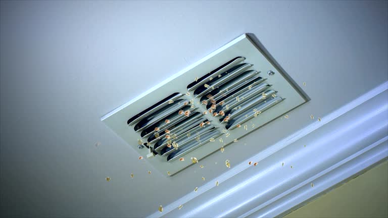  Lyons, WI Airduct Cleaning Pros