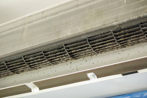 Best General Air Duct Cleaning  in Lyons, WI